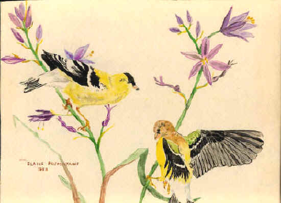 Bird Watercolor