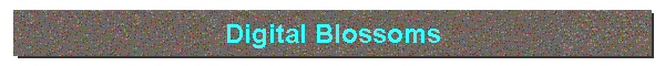 Digital Blossoms