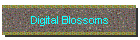 Digital Blossoms