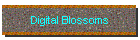 Digital Blossoms