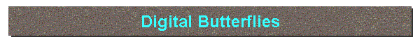 Digital Butterflies