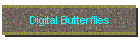 Digital Butterflies