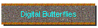 Digital Butterflies