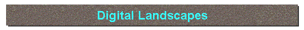 Digital Landscapes