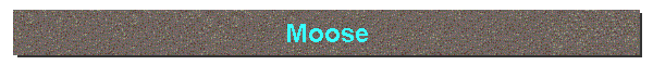 Moose