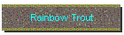 Rainbow Trout