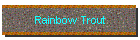 Rainbow Trout