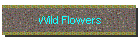 Wild Flowers